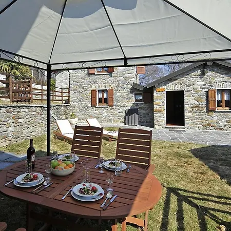 Rustica *